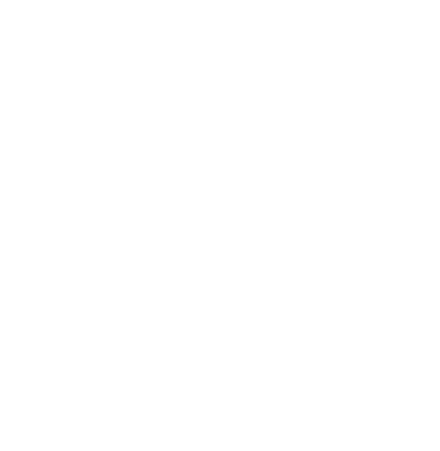 TopHaus SPA