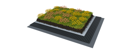 Extensive Dachbegrünung